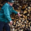 Căldura la sobă: Aproape 1.000 de suceveni vor primi subvenţii pentru lemne de foc
