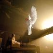 Cuvinte de învăţătură: Despre îngeri