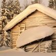 Tradiţii: Sărbătorile de iarnă (I)