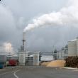 Compania Egger intenţionează să completeze investiţia de la Rădăuţi cu o fabrică de biomasă şi o instalaţie de adezivi