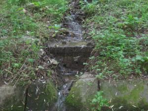 Reţeaua de drenuri din Parcul Şipote este lăsată de Primăria Suceava în voia sorţii de ani de zile