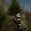 Cadrele ISU şi silvicultorii au reuşit să împiedice flăcările să ajungă la pădure
