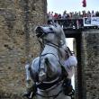 Festivalul de Artă Medievală „Ştefan cel Mare” se va desfăşura în perioada 15-18 august în Cetatea de Scaun a Sucevei