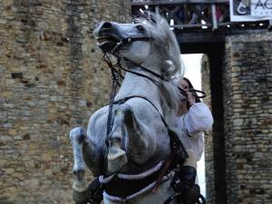 Festivalul de Artă Medievală „Ştefan cel Mare” se va desfăşura în perioada 15-18 august în Cetatea de Scaun a Sucevei