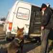 Câinele de urmă al poliţiei şi maşina capturată de la cei doi ucraineni
