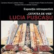 Artista plastică Lucia Puşcaşu va expune la Muzeul de Artă din Piatra Neamț