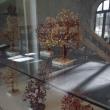 „Pădurea din piatră”, la Muzeul de Ştiinţele Naturii Suceava