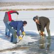 Blocurile de gheaţă sunt tăiate din apa îngheţată a lacului de la marginea satului Bosanci