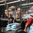 24 de tone de alimente şi produse medicale au fost trimise din Germania pentru câinii din adăpostul Sucevei