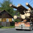 Prins în timp ce transporta lemn cu acte în neregulă, în urma unui incident în trafic