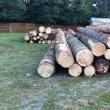 În cadrul acţiunii au fost verificate 49 de obiective, exploatări forestiere, instalații de debitat și ocoale silvice