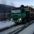 Lemn confiscat și amenzi usturătoare, în urma unor controale ale Gărzii Forestiere Suceava