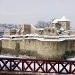 Lecţii de istorie pentru elevi, vineri, la Cetatea de Scaun a Sucevei