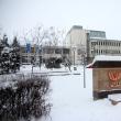 Universitatea „Ştefan cel Mare” Suceava