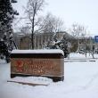 Universitatea „Ștefan cel Mare” reia cursurile începând de astăzi