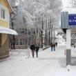 Colegiul Tehnic de Industrie Alimentară Suceava