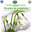 „Varietăţi de primăvară”, spectacol dedicat Zilei Internaţionale a Femeii