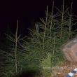 Ţigări de contrabandă de peste 30.000 de euro, descoperite în zona Brodina-Izvoarele Sucevei