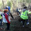 Peste 700 de voluntari s-au implicat în campaniile de împădurire de sâmbătă, la Vama și la Pojorâta