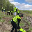 Angajaţii SUCT au ajutat la plantarea unui teren accidentat din Zvoriştea