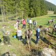 Acţiunea de împădurire a avut loc zilele trecute în zona de munte a judeţului Suceava, la iniţiativa celor de la Ocolul Silvic Cârlibaba