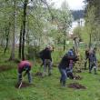 Campanie de împădurire organizată de Primăria Vatra Dornei în parcul central
