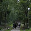 Primarul Sucevei, bucuros că parcul Şipote şi pădurea Zamca vor putea fi amenajate ca zone de agrement