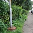 Coșurile de gunoi stradale au dispărut de pe strada 6 Noiembrie