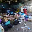 Rezultatul licitaţiei a fost contestat de una din firmele care prestează în prezent serviciul de salubrizare menajeră
