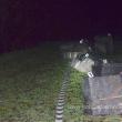 Ţigări de contrabandă, de 40.000 de euro, capturate la graniţa româno-ucraineană