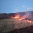Cinci incendii de vegetație au cuprins peste 100 de hectare de teren