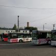 O parte dintre autobuzele Irisbus - Iveco folosite acum de TPL ar putea ajunge ca ajutoare la Cernăuți