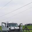 Microbuzul a intrat în gardul din lemn