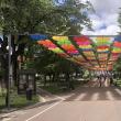 Aleea umbreluțelor colorate din Rădăuți