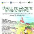 Programul Târgului de Sânziene din centrul Sucevei include și spectacole de teatru pentru copii