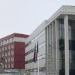 Judecătoria Rădăuți a dat sentința în cazul celor opt indivizi puși sub acuzare pentru implicarea în 25 de fapte de furt