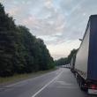 Cozile dinspre Ucraina, spre Vama Siret
