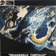 Meandrele timpului