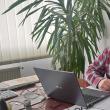 Doctorul Sorin Mihai Voloșeniuc, directorul executiv al Direcției Sanitar Veterinare și pentru Siguranța Alimentelor Suceava