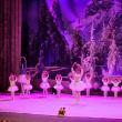 Spectacole de Crăciun organizate de Bucovina Dance Studio