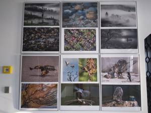 Cele mai bune fotografii ale Salonului Internațional de Artă Fotografică „Bucovina Mileniul III”, expuse la Muzeul de Istorie