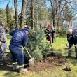 Primăria Suceava a dat startul campaniei de primăvară de plantări de arbori