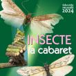 Lecția de educație pentru elevi „Insecte la Cabaret”, la Muzeul de Științele Naturii