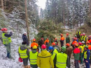 Instructaje de securitate a muncii organizate în pădure, pentru domenii cu un risc ridicat de accidente de muncă