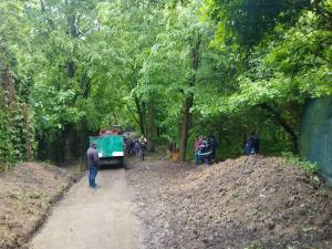 Cale de acces în Parcul Șipote, curățată și igienizată