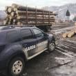 Amenzi și confiscări de peste 360.000 de lei aplicate de Garda Forestieră Suceava