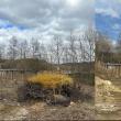 Primăria Vatra Moldoviței a ecologizat mai multe terenuri folosite pentru depozitarea ilegală a deșeurilor