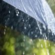 Cod galben de ploi abundente valabil până marți dimineața în jumătatea de est a județului Suceava