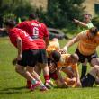 Consiliul Județean Suceava se va implica financiar, în premieră, în susținerea echipelor de rugby din județ