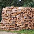 Majorarea TVA-ului la lemnul de foc, un risc uriaș pentru 3,5 milioane de gospodării